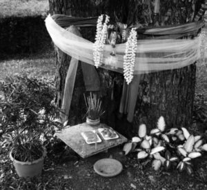 offerings in front of a tree