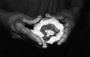 a pair of hands holding a relic protected in cotton