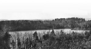 photo of a pond surrounded by large trees