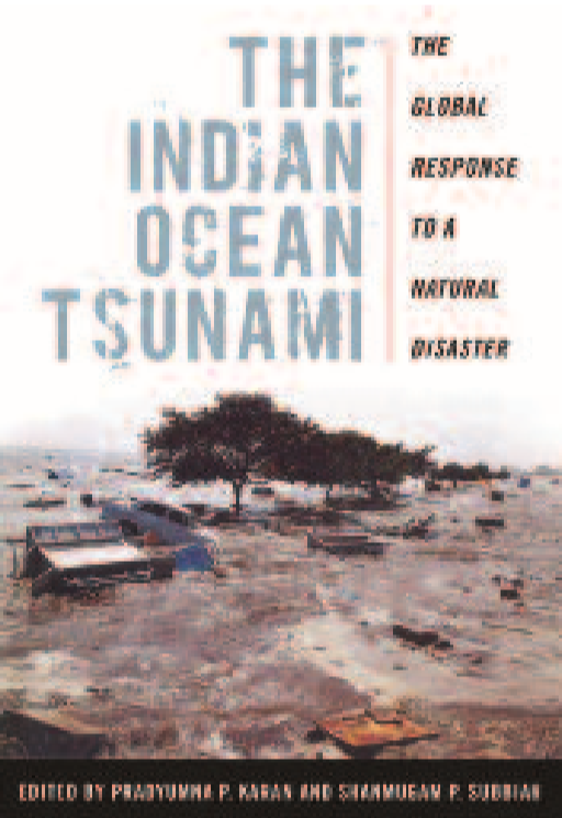 indian ocean tsunami essay