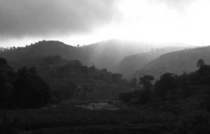 the same hills from the prior image are here, but more lush and covered in a thick mist that suggests more life than the previous photo.