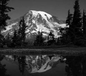 A snow capped mountain with tall trees slightly obscuring the view. The image of the mountain is reflected in the lake below the mountain. 