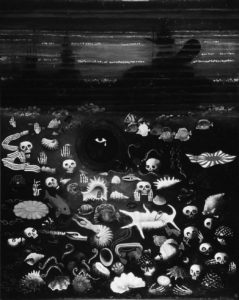 Picture of shells and skulls at the ocean floor.