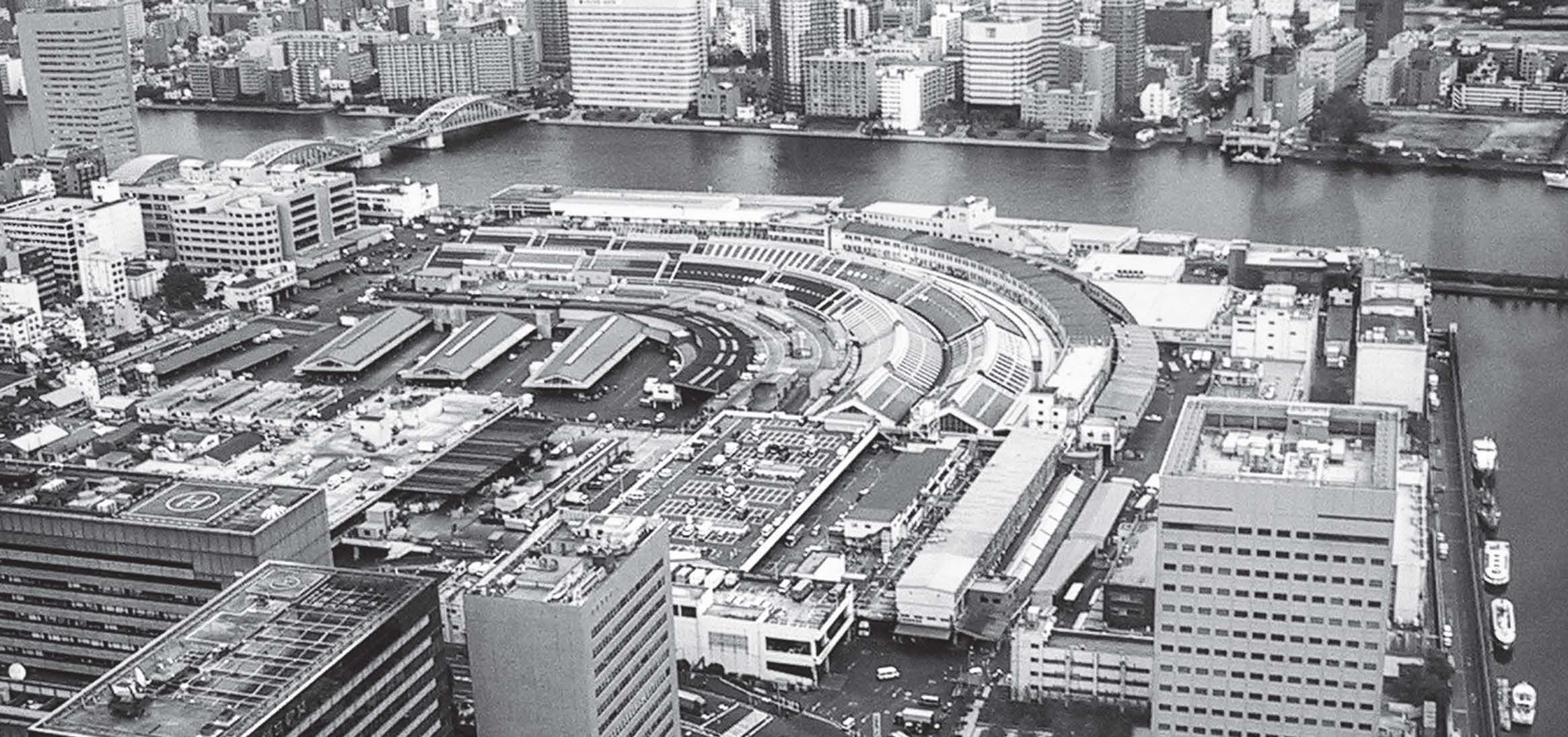 photo of several buildings right next to the water