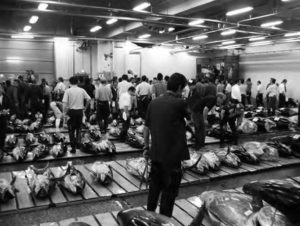 photo of many people standing in front of rows of tuna fish