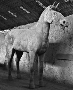 terracotta horse