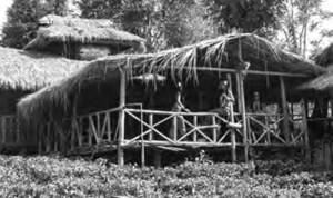 Wa thatched stilt house.