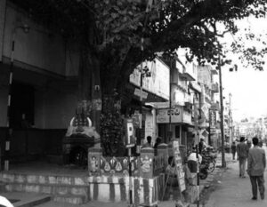 photo of a tree shrine